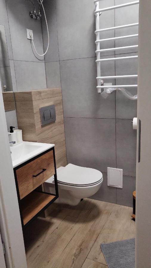 Central Platinum Apartments Rybnik  Extérieur photo